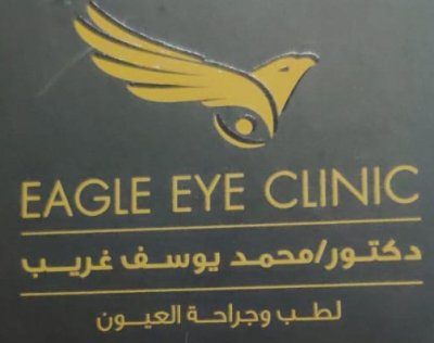 مركز دكتور محمد يوسف غريب لطب وجراحة العيون و الليزر Eagle Eye Clinic