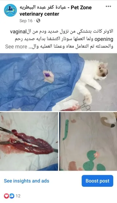 ‏عيادة كفر عبده البيطرية PetZone Veterinary Center