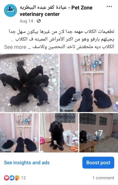 ‏عيادة كفر عبده البيطرية PetZone Veterinary Center