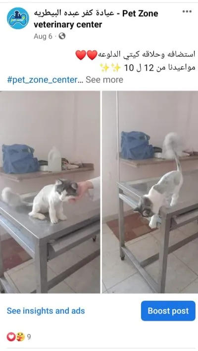 ‏عيادة كفر عبده البيطرية PetZone Veterinary Center