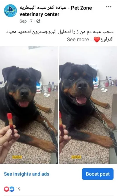 ‏عيادة كفر عبده البيطرية PetZone Veterinary Center