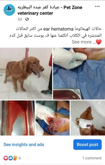 ‏عيادة كفر عبده البيطرية PetZone Veterinary Center