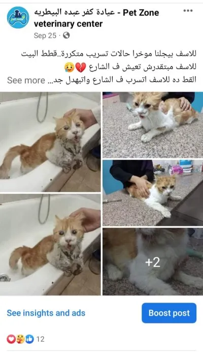 ‏عيادة كفر عبده البيطرية PetZone Veterinary Center