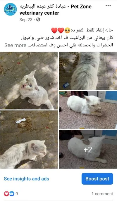 ‏عيادة كفر عبده البيطرية PetZone Veterinary Center