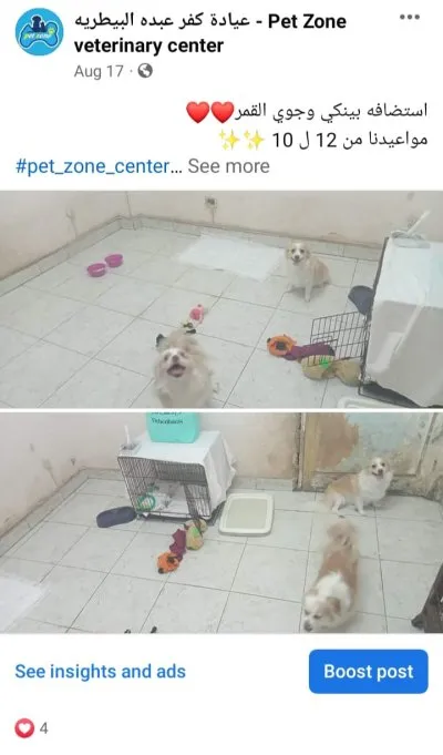 ‏عيادة كفر عبده البيطرية PetZone Veterinary Center