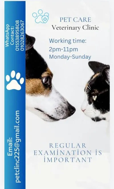 Pet Care Clinic دكتور مصطفى ابراهيم