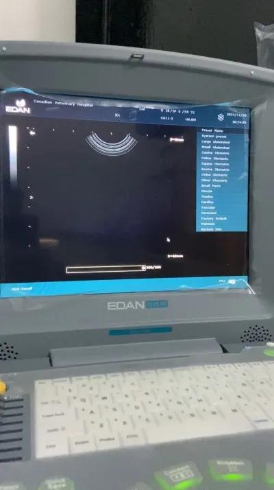 المستشفى البيطرى الكندى