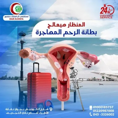 دكتور حلمي محمد برغش استشاري نساء و توليد و جراحة مناظير نسائية