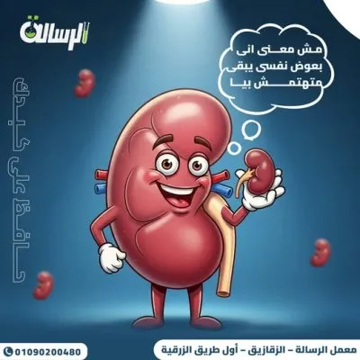 معمل الرسالة للتحاليل الطبية الكيميائية