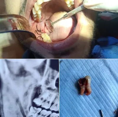 دكتور محمد احمد مدبولي أخصائي طب وجراحة الأسنان