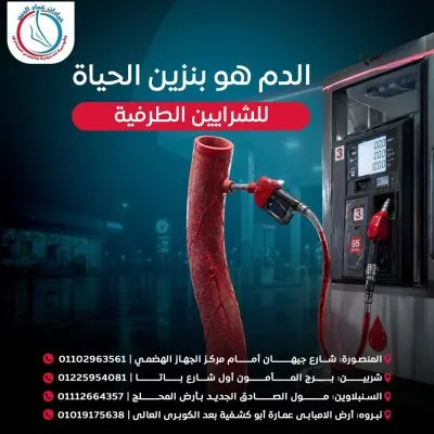 دكتور محمد عماد الدين استاذ جراحات الاوعية الدموية و القدم السكري