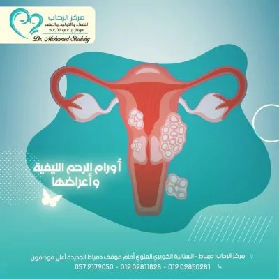 مركز الرحاب للنساء والتوليد والعقم دكتور محمد شلبي