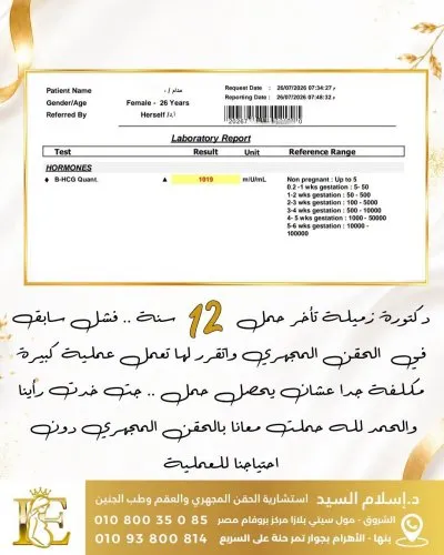 دكتورة إسلام محمد السيد استشارية نساء وتوليد واطفال انابيب
