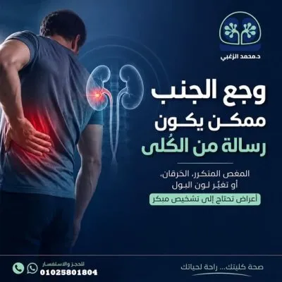 دكتور محمد الزغبي نصر الدين استشاري مسالك بولية و ذكورة و عقم