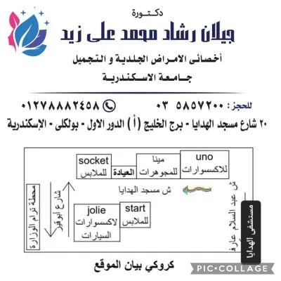 دكتورة جيلان رشاد محمد اخصائى الجلدية والتجميل
