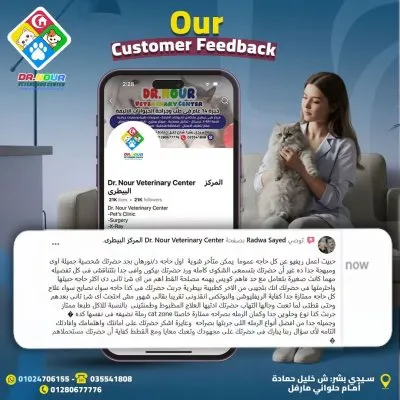 المركز البيطرى دكتور نور لطب وجراحة الحيوان