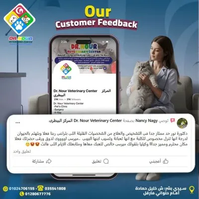 المركز البيطرى دكتور نور لطب وجراحة الحيوان