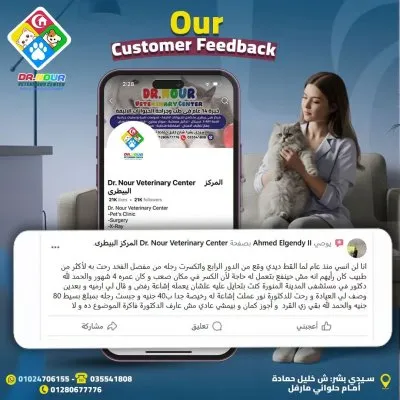 المركز البيطرى دكتور نور لطب وجراحة الحيوان