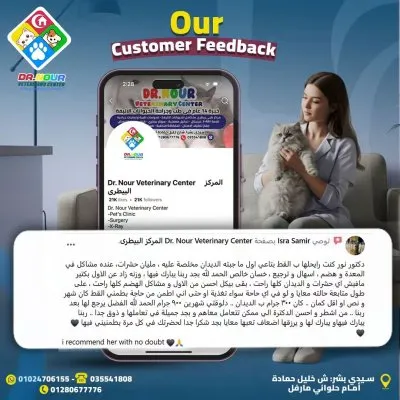 المركز البيطرى دكتور نور لطب وجراحة الحيوان