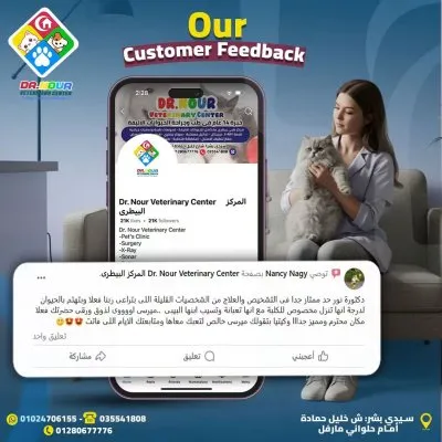 المركز البيطرى دكتور نور لطب وجراحة الحيوان
