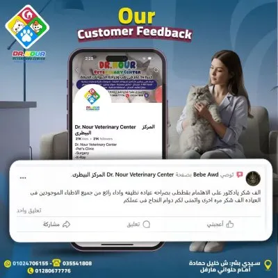 المركز البيطرى دكتور نور لطب وجراحة الحيوان