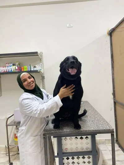 عيادة القاضى البيطرية دكتورة ايناس القاضى