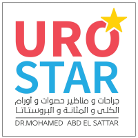 أ د محمد عبد الستار أستاذ جراحات ومناظير الكلى و المسالك