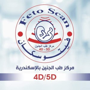 مركز فيتو سكان طب الجنين دكتور عبد الحميد سند