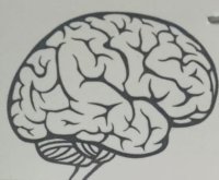 دكتور هشام الشافعى أخصائى الطب النفسى وعلاج الادمان
