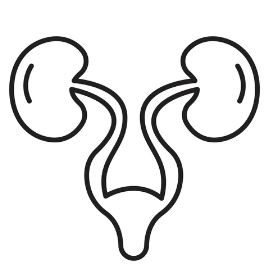 دكتور صبحى احمد شبل إستشاري جراحة مسالك بولية