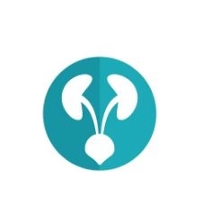 Professor Dr. Walid Kamal Ragab, Professor of Urology