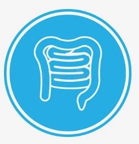 Dr. Mohamed Hassan El-Komy, PhD in Colon