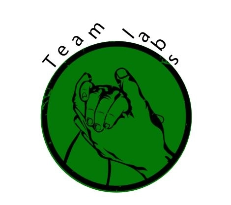 Team Lab Medical Analysis Laboratories
