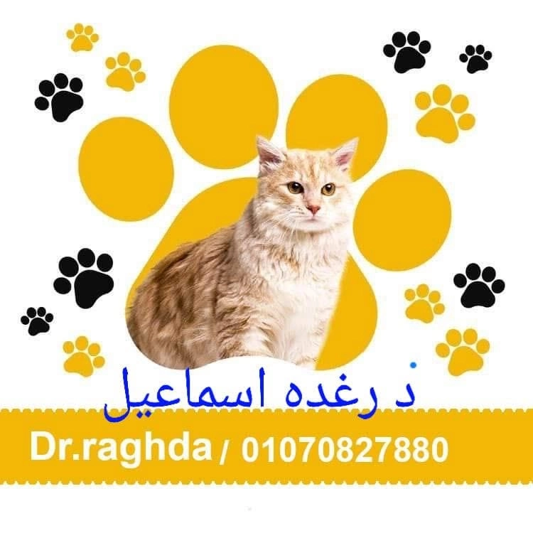 Enor Veterinary Clinic