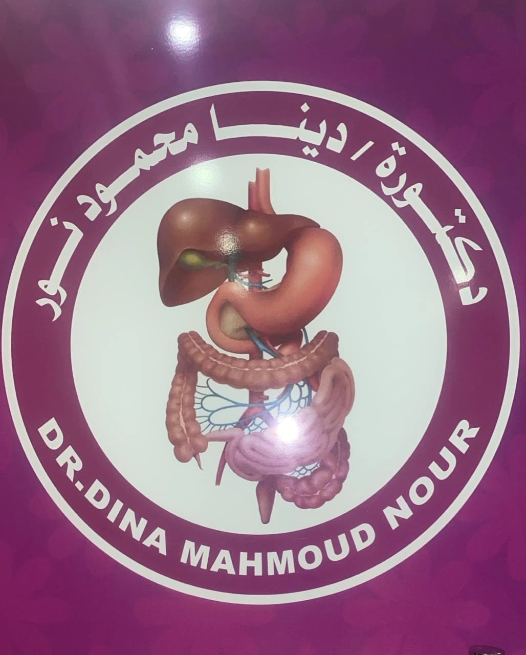 د. دينا محمود نور مدرس واستشاري كبد وجهاز هضمي وأمراض معدية