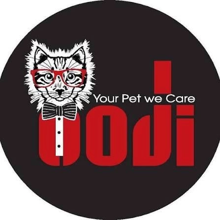 Oodi vet center