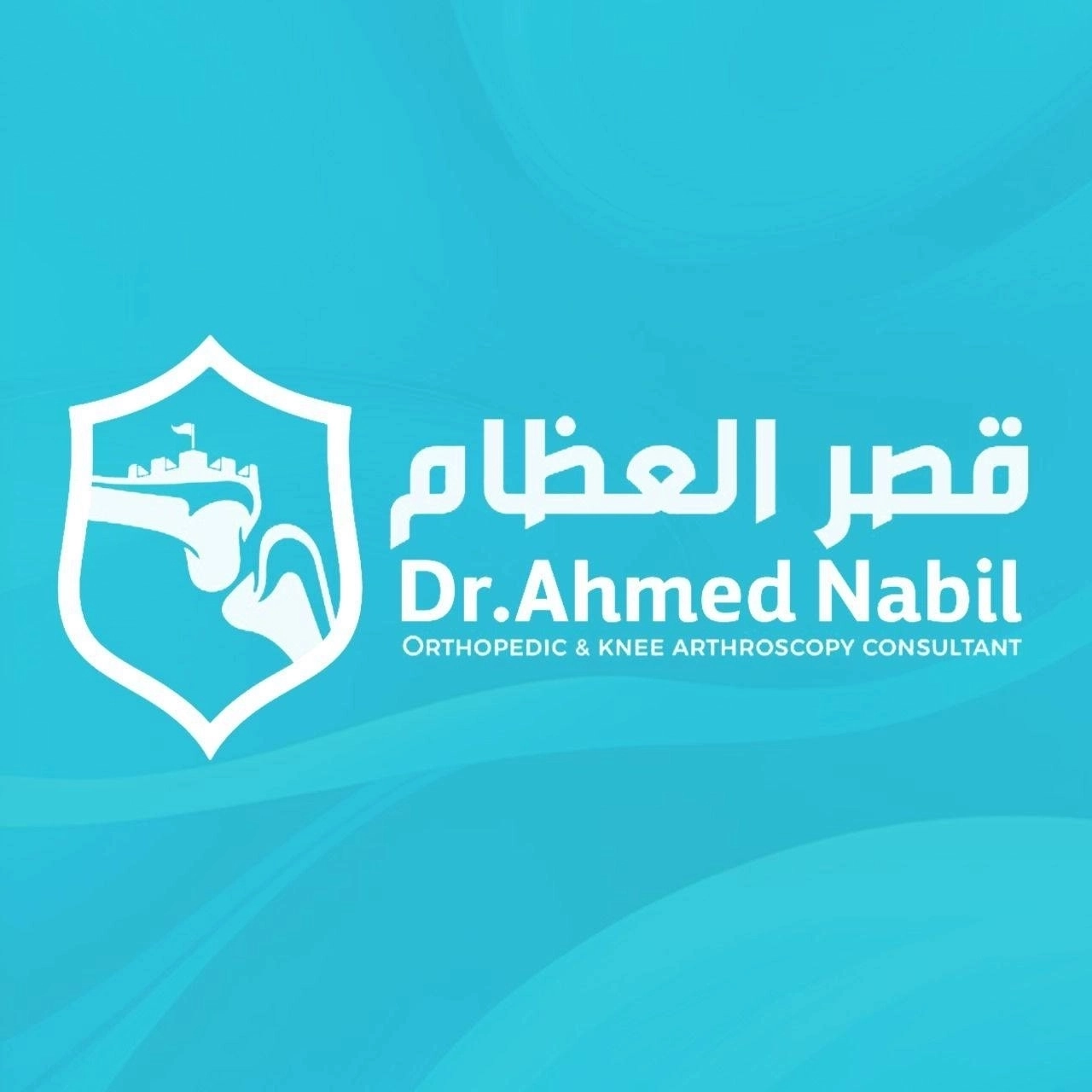 Dr Ahmed Nabil Consultant OrthopedicFracture and Joint Surgeon