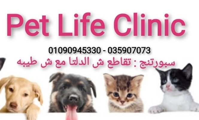 عيادة بت لايف البيطرية Pet Life Clinic