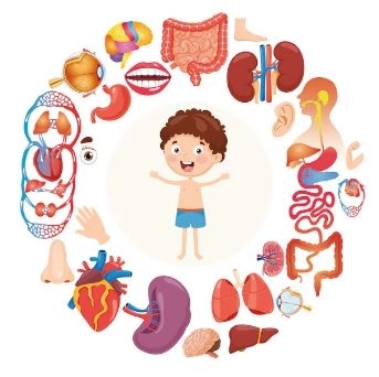 دكتورة امل محفوظ  أستاذ طب اطفال وجهاز هضمى وكبد