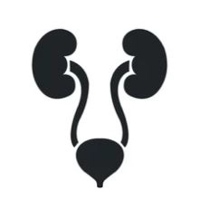 Dr. Ayman Nour El-Din, Consultant Urologist