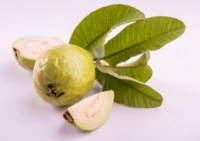 The benefits of juvafa leaves to cure all poetry problems