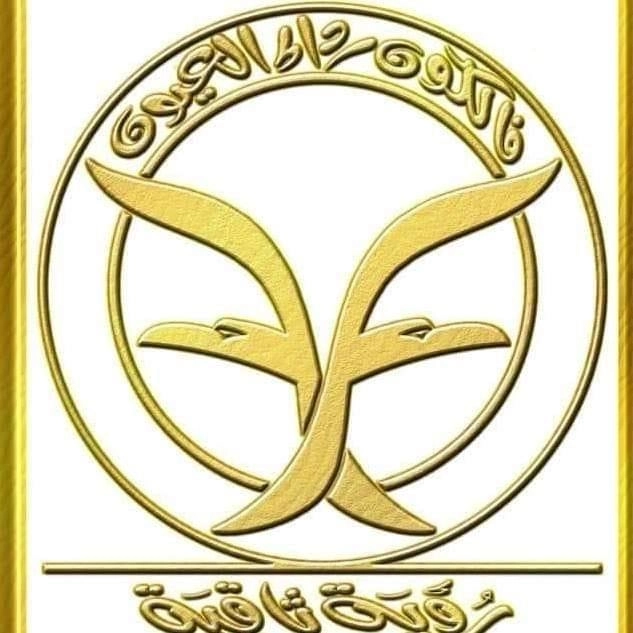 فالكون للبصريات