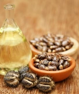 Castor oil and vaginal moisturizing How does it work And what is the best way to use it