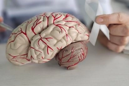 تحليل Antineuronal Antibodies هل يكشف أمراض الدماغ الخفية