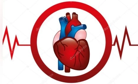 Professor Dr. Mohamed Lotfy, Professor of Cardiology