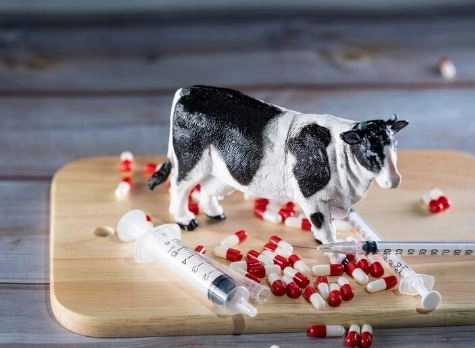 Cortisol analysis for animals early detection of a serious condition