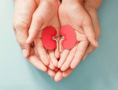الفشل الكلوي عند الأطفال وحديثي الولادة  الأسباب والأعراض وطرق العلاج الحديثة