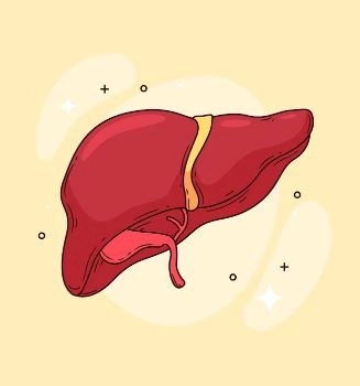 التهاب الكبد المناعي الذاتي أنواعه وأهم طرق العلاج