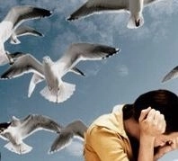 Bird phobia causes symptoms and treatment