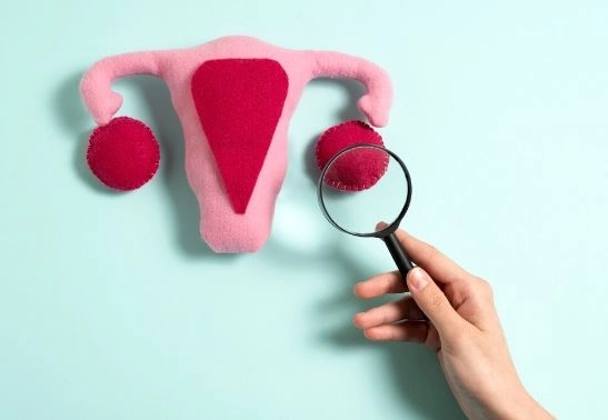 Endometrial biopsy its importance risks and procedure Endometrial biopsy its importance risks and procedure